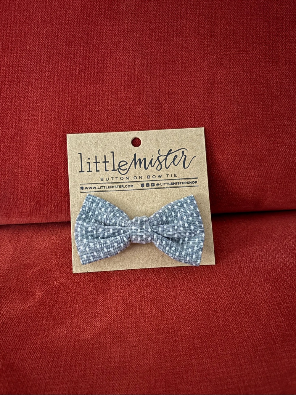 Little Mister Gray Dot Bow Tie for Kids